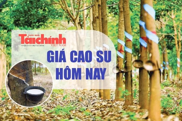 Thị trường cao su châu Á ghi nhận sự sụt giảm nhẹ khi lực cầu từ Trung Quốc suy yếu trước kỳ nghỉ lễ 1/5.